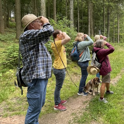 Sinne aktiviern - Augentraining